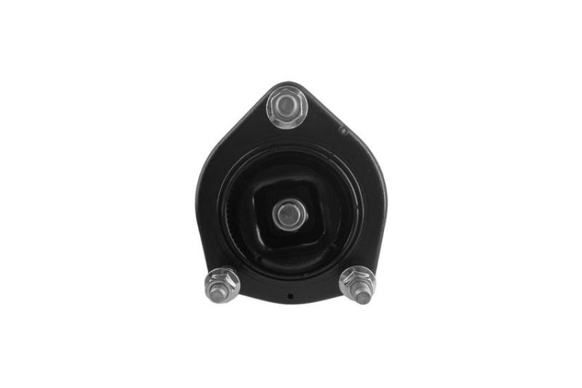 FCS Struts 2331613L Suspension Strut and Coil Spring Assembly