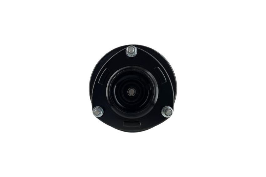 FCS Struts 2331663R Suspension Strut and Coil Spring Assembly
