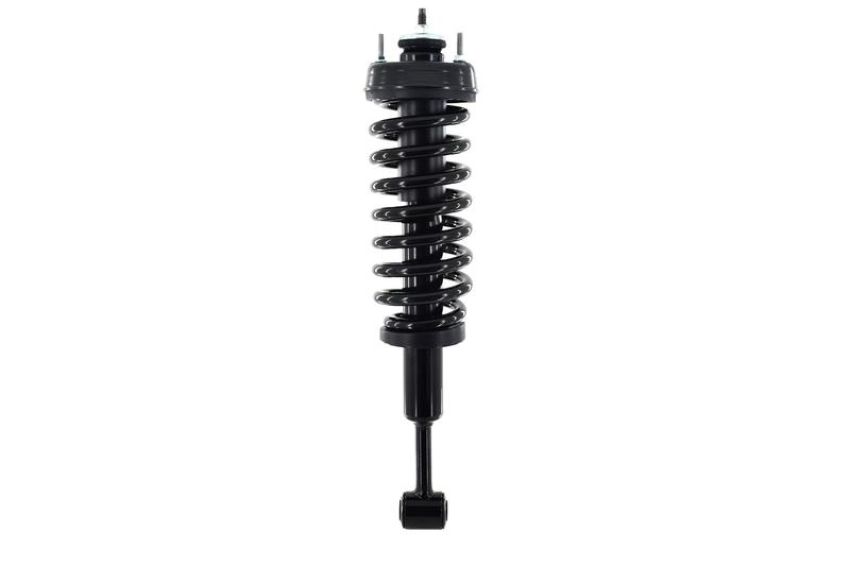 FCS Struts 2345559 Suspension Strut and Coil Spring Assembly