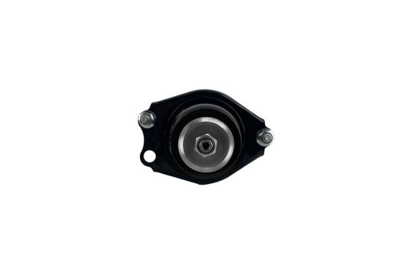 FCS Struts 2345742R Suspension Strut and Coil Spring Assembly