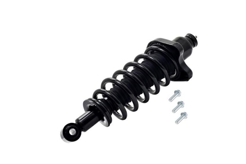 FCS Struts 3355016L Suspension Strut and Coil Spring Assembly