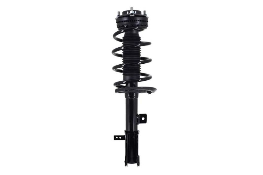 FCS Struts 5333406L Suspension Strut and Coil Spring Assembly
