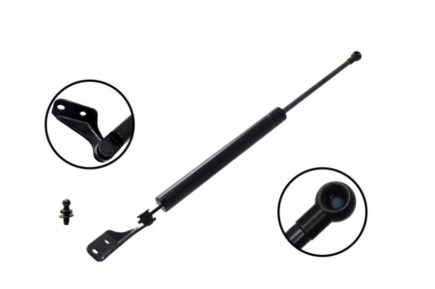 FCS Struts 80022R Liftgate Lift Support