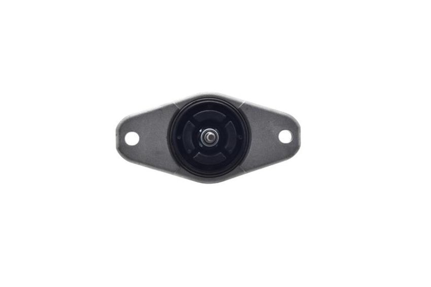 FCS Struts 8341602 Shock Absorber Assembly Kit