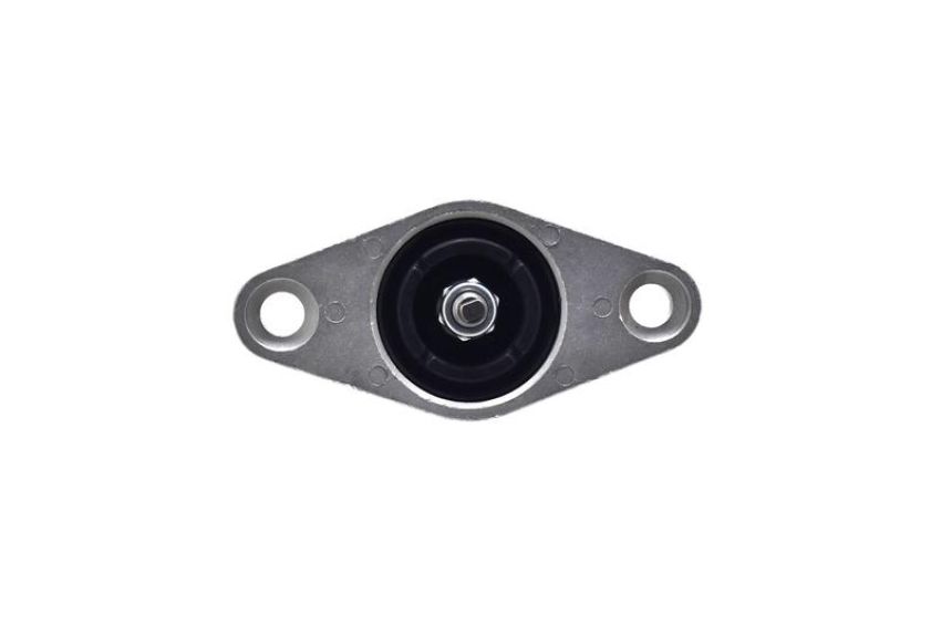 FCS Struts 8341715 Shock Absorber Assembly Kit