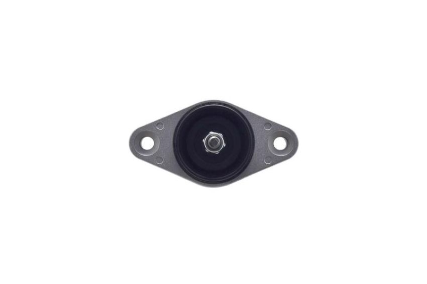 FCS Struts 8341716 Shock Absorber Assembly Kit