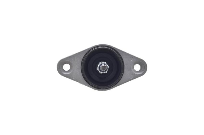 FCS Struts 8341964 Shock Absorber Assembly Kit