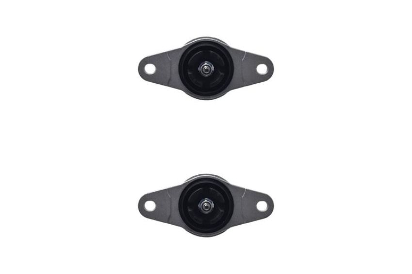 FCS Struts 8346213 Shock Absorber Assembly Kit
