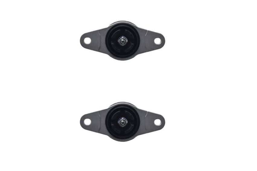 FCS Struts 8346214 Shock Absorber Assembly Kit