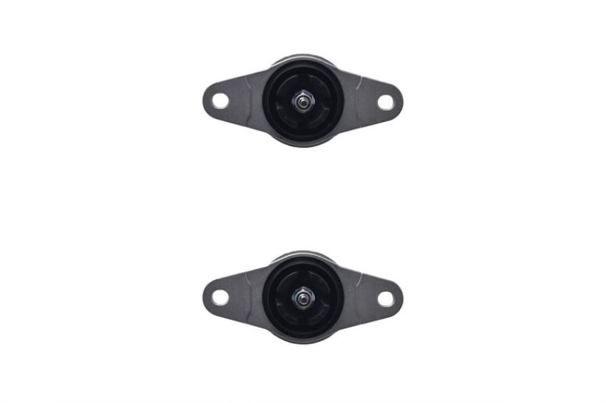 FCS Struts 8346744 Shock Absorber Assembly Kit