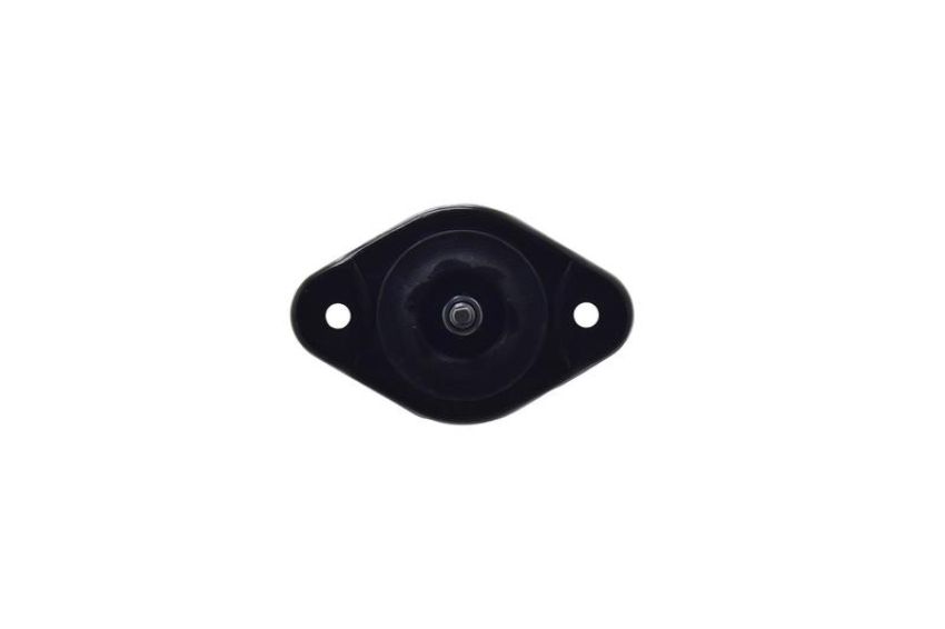 FCS Struts 8348005 Shock Absorber Assembly Kit