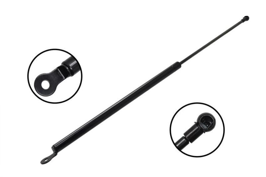 FCS Struts 84736 Liftgate Lift Support