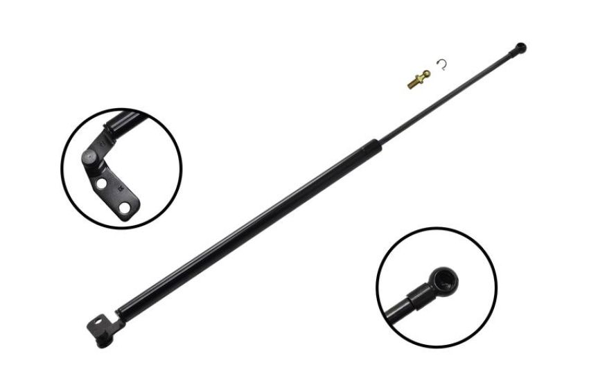 FCS Struts 84746 Liftgate Lift Support
