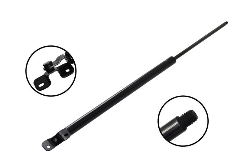 FCS Struts 84908 Liftgate Lift Support