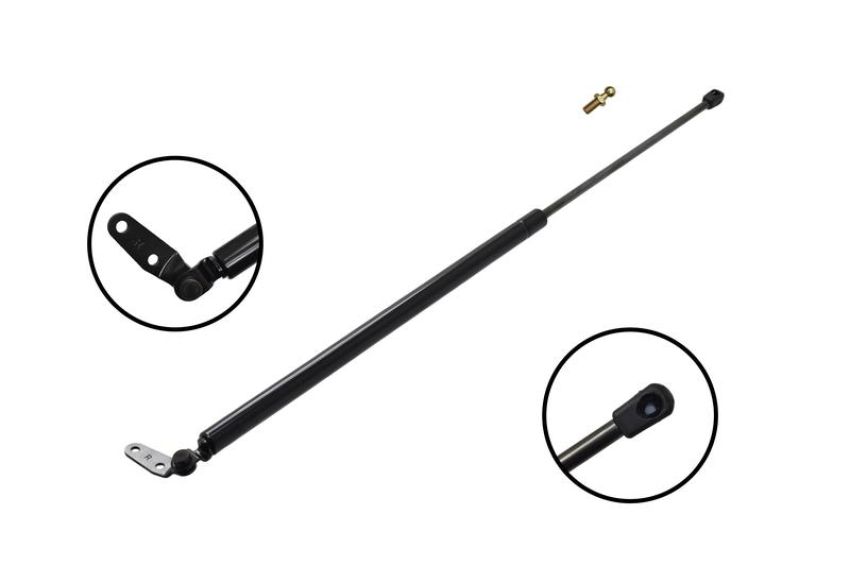 FCS Struts 84916 Tailgate Lift Support