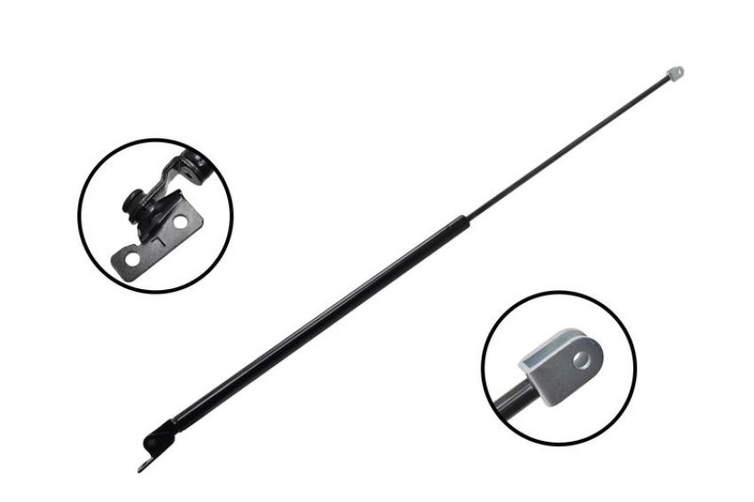 FCS Struts 84942 Liftgate Lift Support