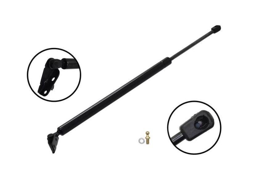 FCS Struts 86206R Liftgate Lift Support