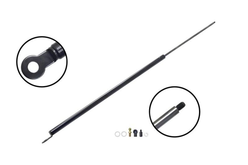 FCS Struts 86229 Liftgate Lift Support