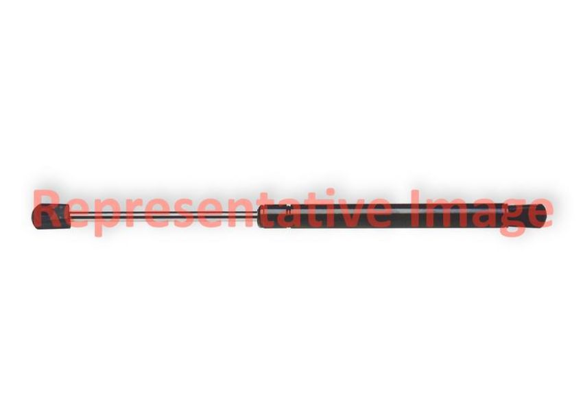 FCS Struts 86554 Liftgate Lift Support