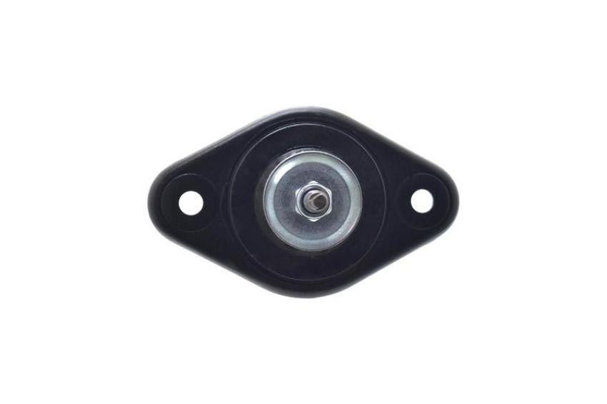 FCS Struts 8946212 Shock Absorber Assembly Kit