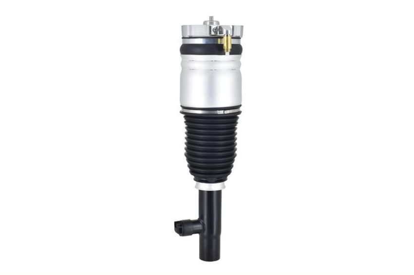 FCS Struts 92001 Electronic Air Suspension Strut Assembly