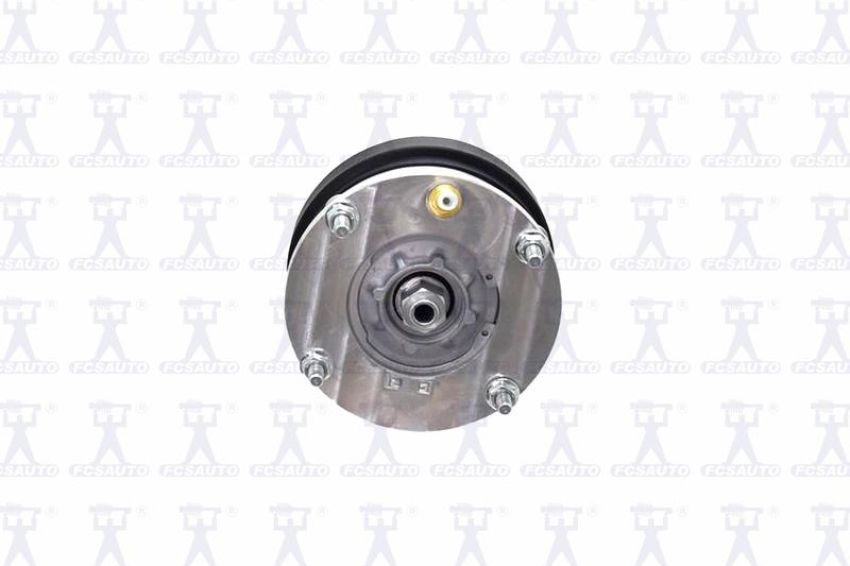 FCS Struts 92006 Electronic Air Suspension Strut Assembly