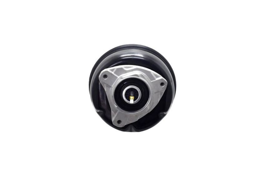 FCS Struts 92012 Electronic Air Suspension Strut Assembly