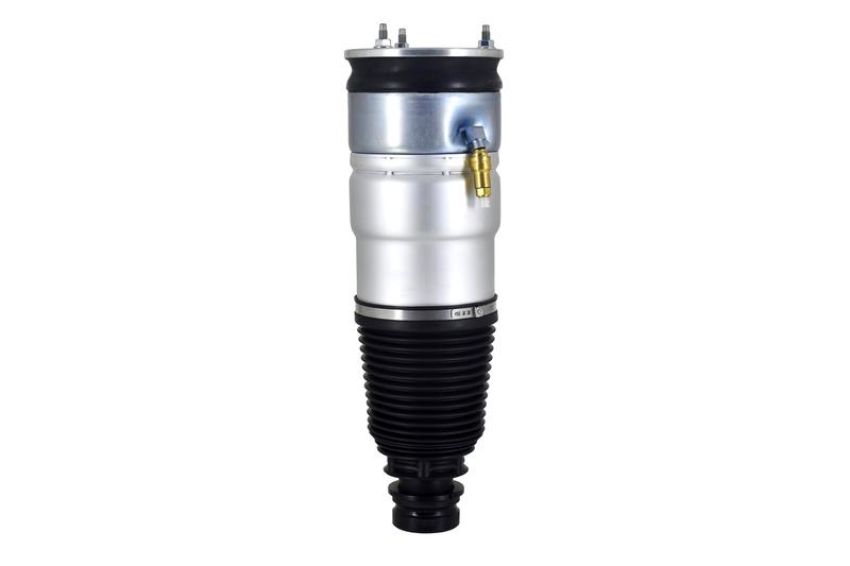 FCS Struts 93015 Air Suspension Strut Assembly