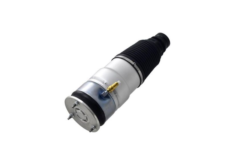 FCS Struts 93015 Air Suspension Strut Assembly