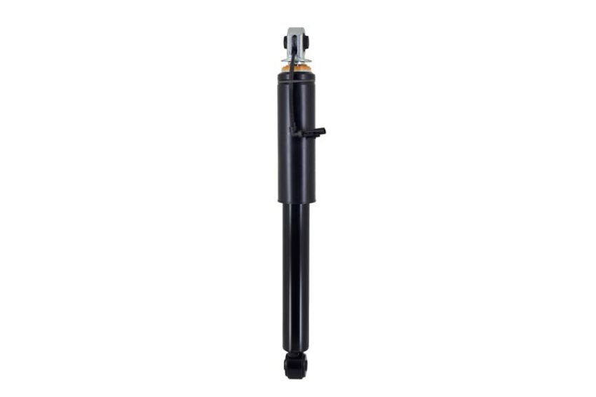 FCS Struts 94079 Magnetic Shock Absorber
