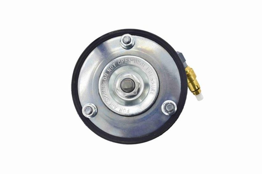 FCS Struts 99019 Air Suspension Strut Assembly