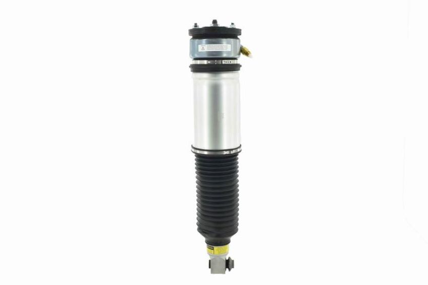 FCS Struts 99019 Air Suspension Strut Assembly