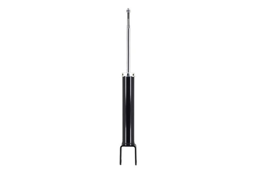 FCS Struts DT346347 Shock Absorber