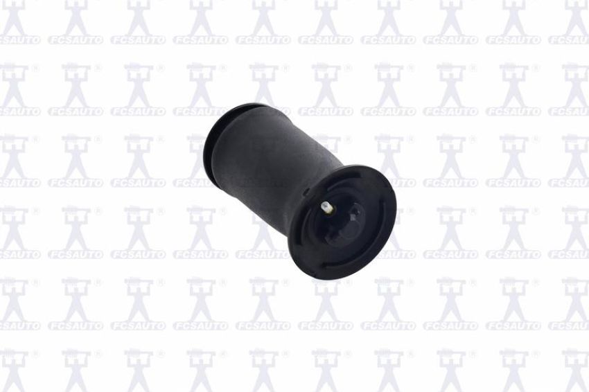 FCS Struts Q4006 Air Suspension Spring