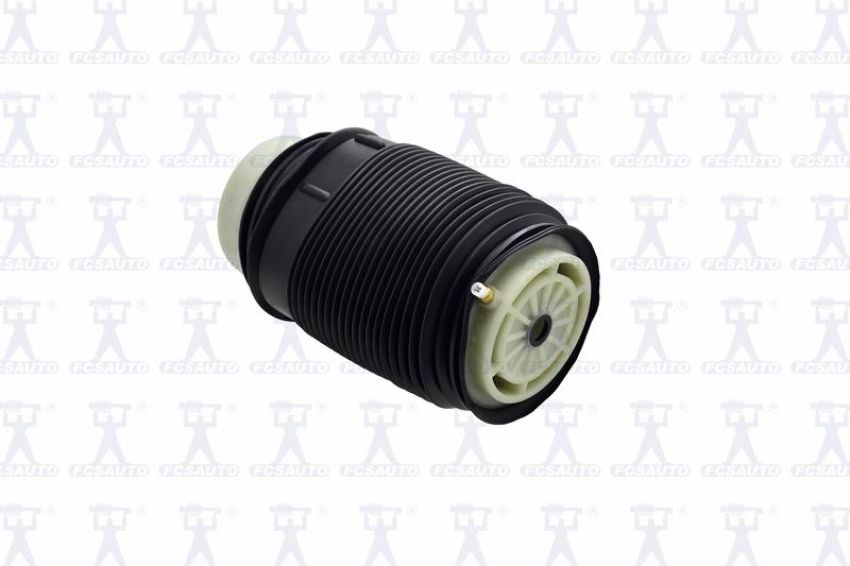 FCS Struts Q4009 Air Suspension Spring