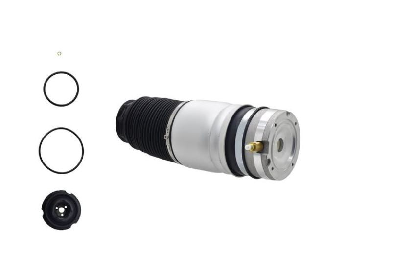 FCS Struts Q9013 Air Suspension Spring