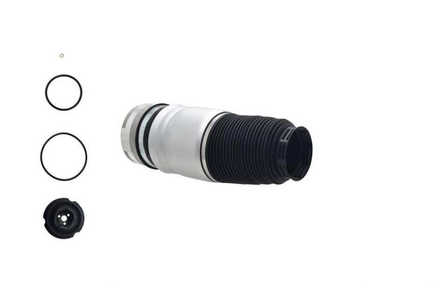 FCS Struts Q9013 Air Suspension Spring