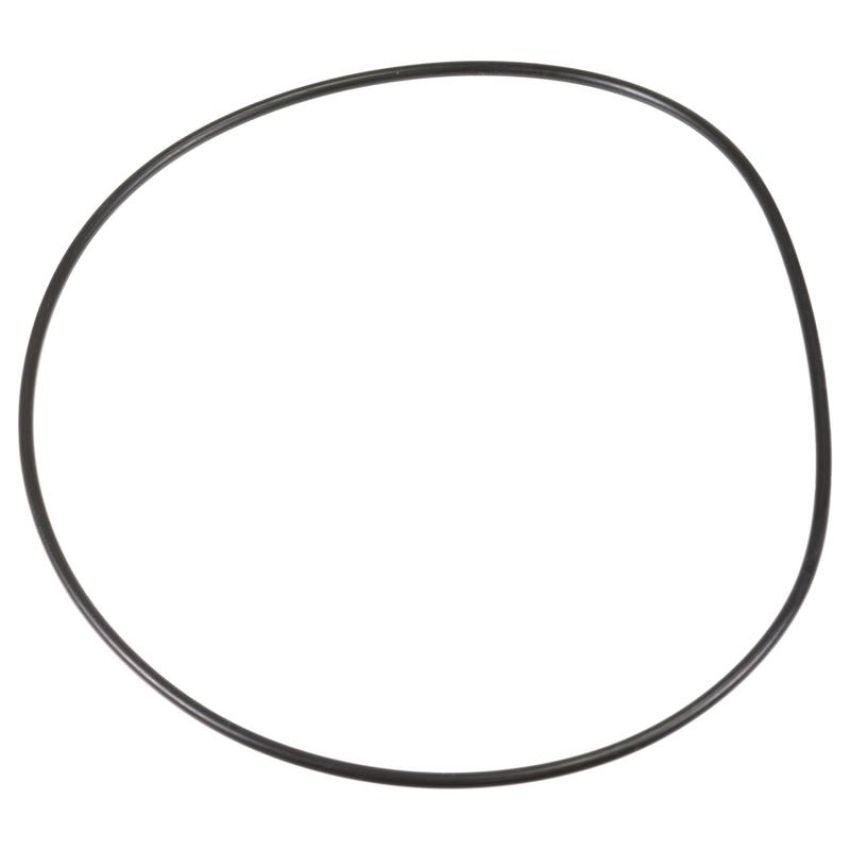 Schaeffler SS0309 Schaeffler O-Ring