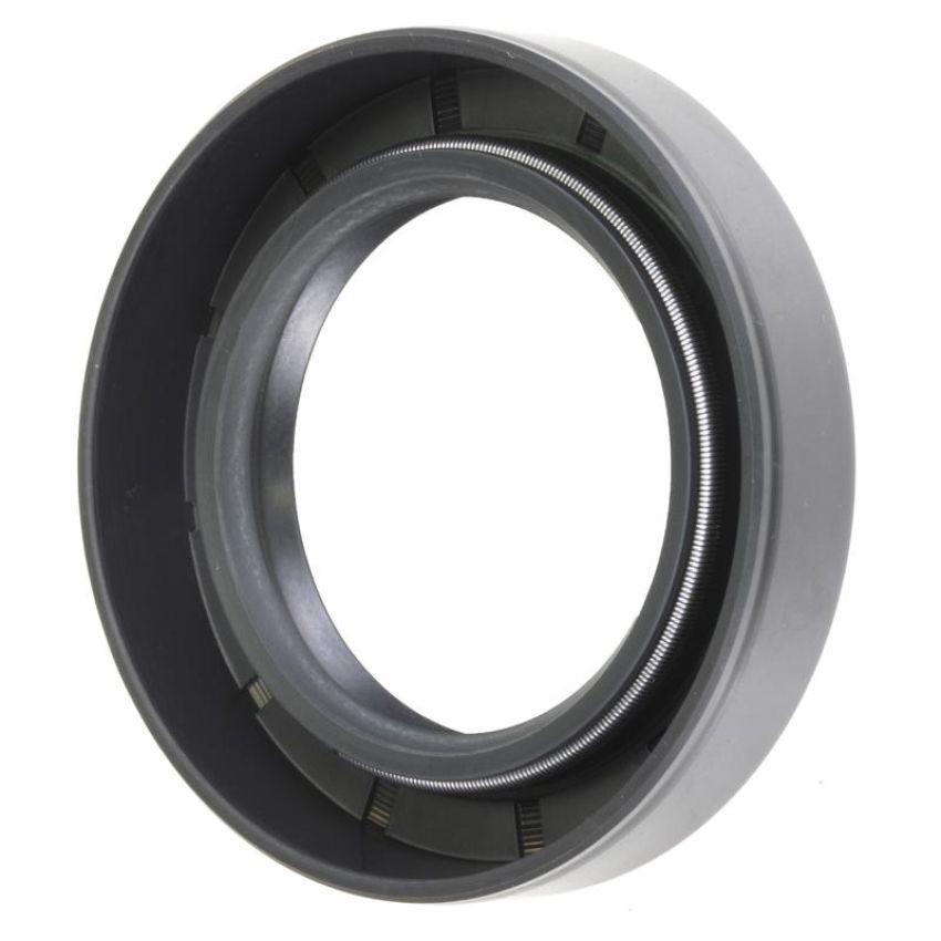 Schaeffler SS6248 Schaeffler Shaft Seal