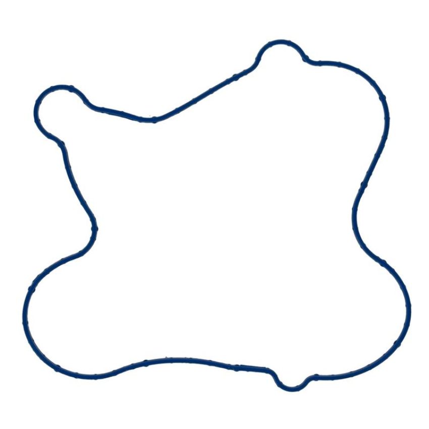 FEL PRO GASKETS 35995 Engine Water Pump Gasket
