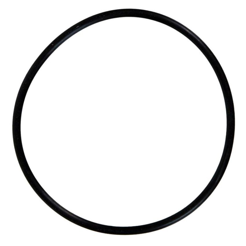 FEL PRO GASKETS 72946 Fuel Injection Plenum O-Ring