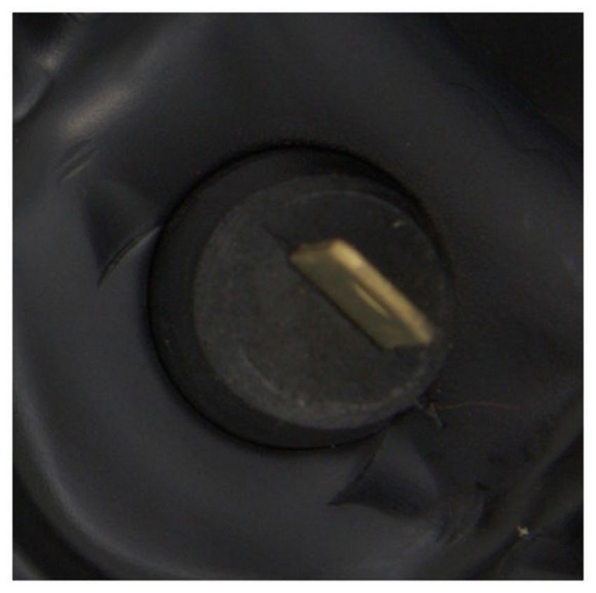 Four Seasons 35550 Flanged Vented CW Blower Motor w/o Wheel