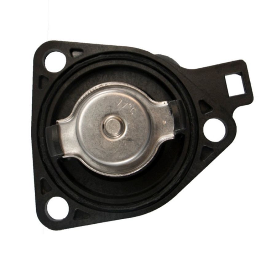 Four Seasons 86017 Water Outlet with Thermostat