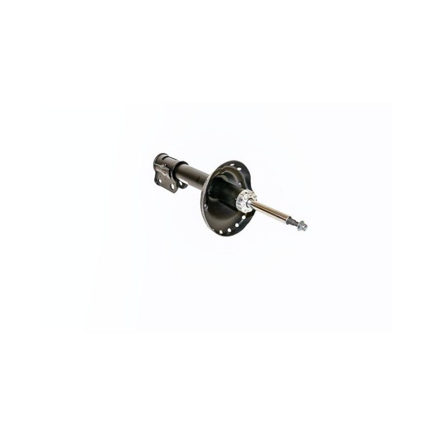 Gabriel Ride Control G52273 Premium Struts for Passenger Cars, Light Trucks and SUVs