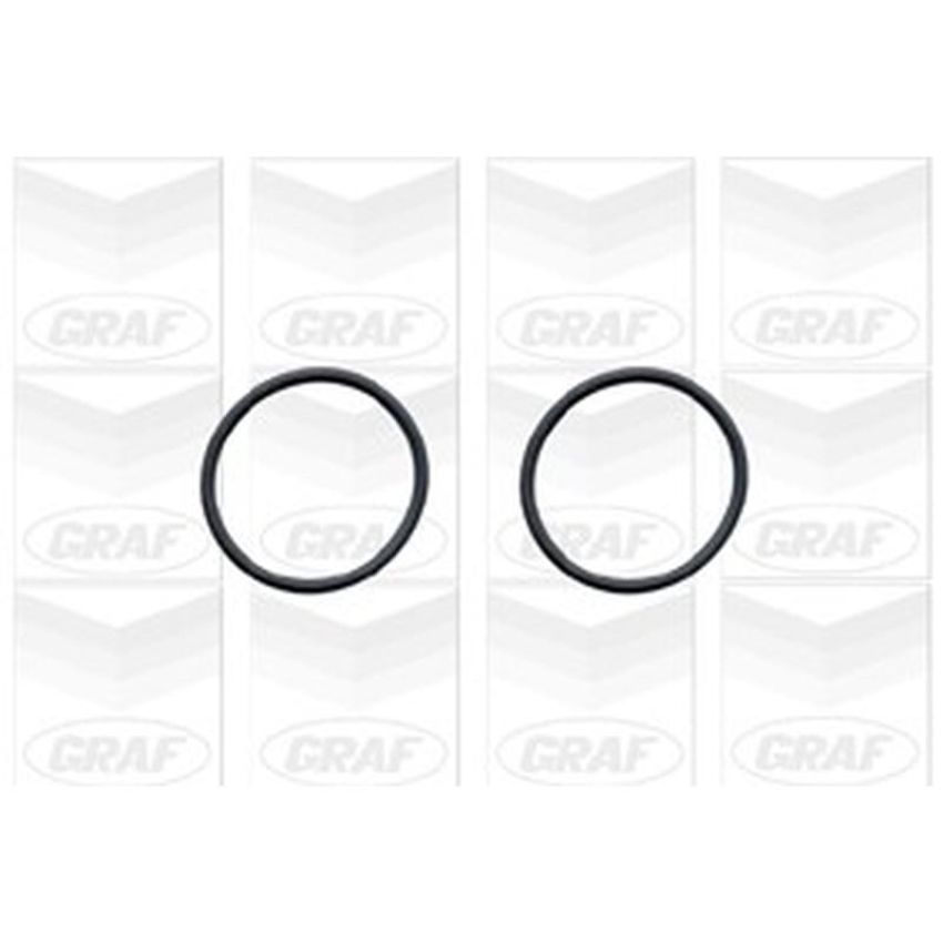 GRAF PA1105 Water Pump