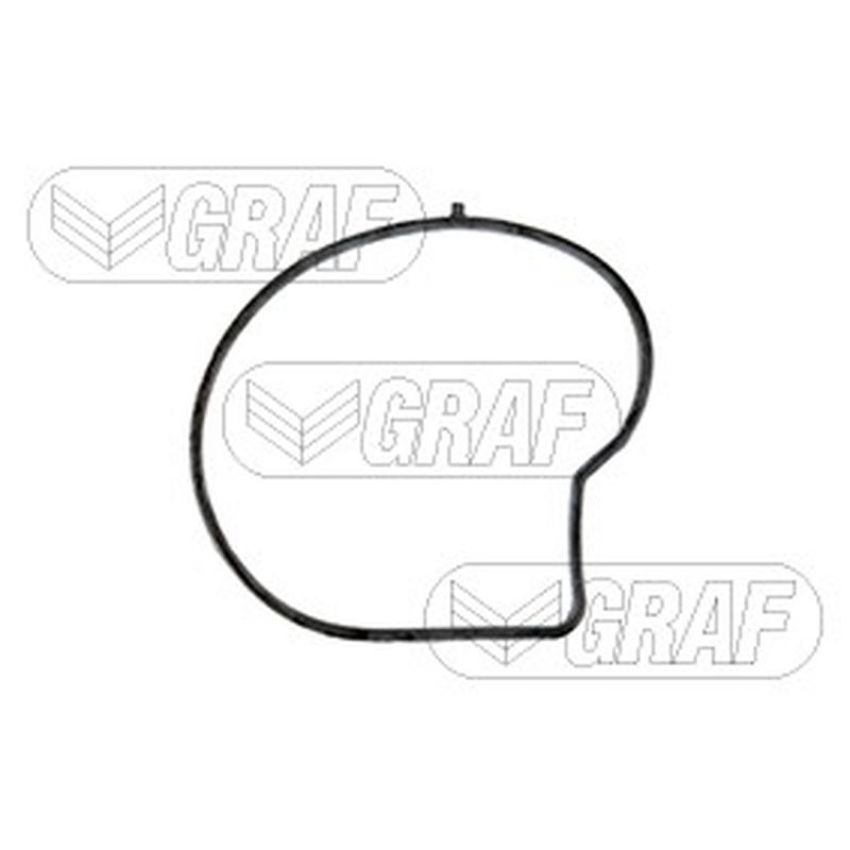 GRAF PA1139 Water Pump