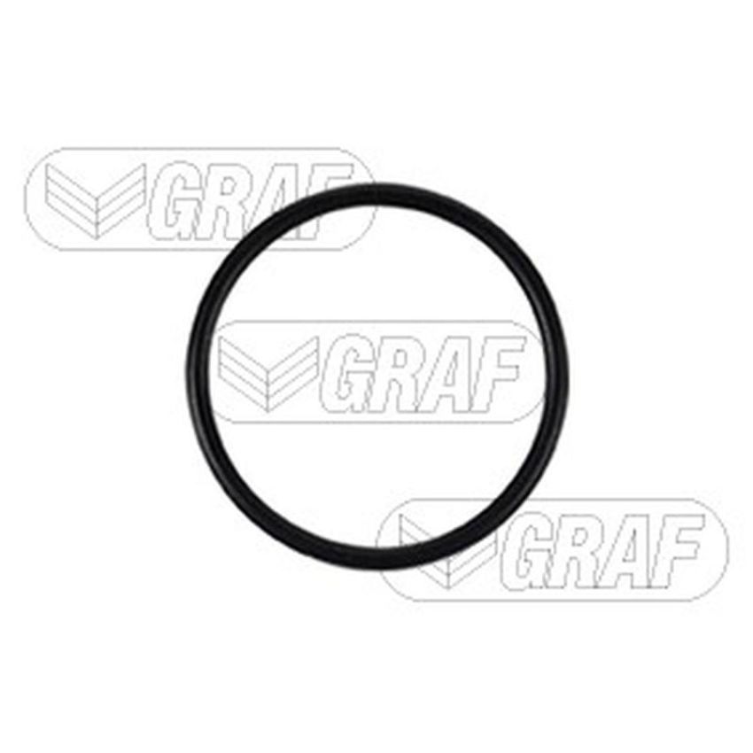 GRAF PA717 Water Pump