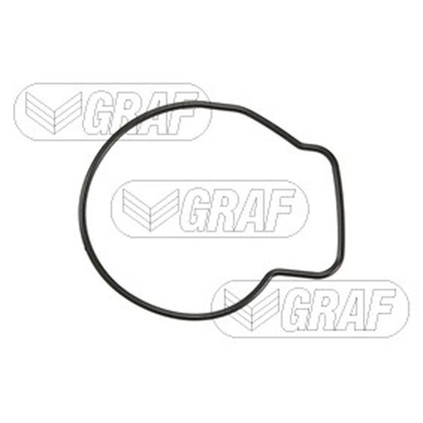 GRAF PA876 Water Pump