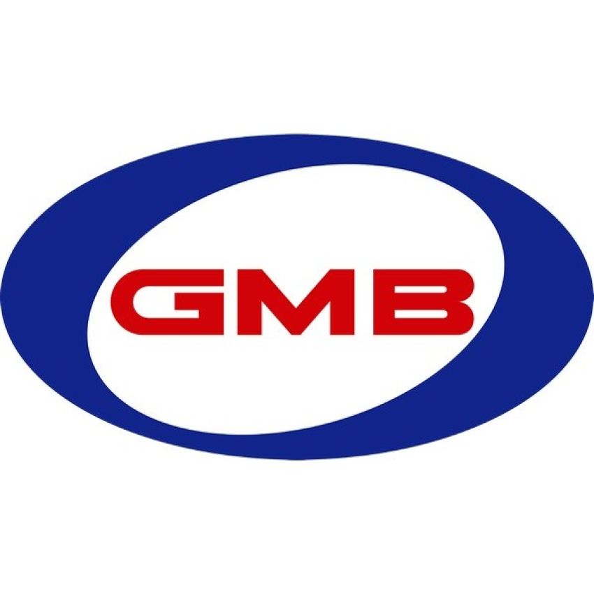 GMB 530-2425 Fuel Pump Module Assembly