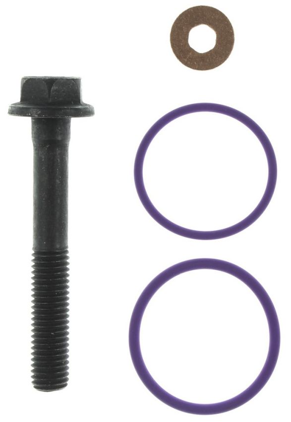 MAHLE GS33843 Fuel Injector Seal Kit